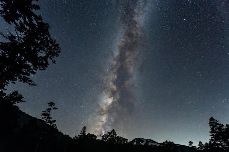 Milky Way over a jungle